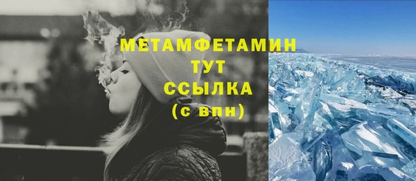 индика Богородицк