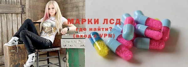 индика Богородицк