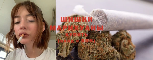 спиды Богданович