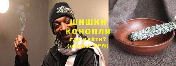 индика Богородицк