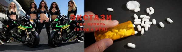индика Богородицк