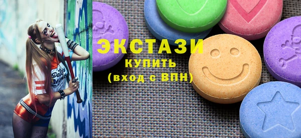индика Богородицк