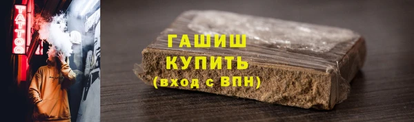 индика Богородицк