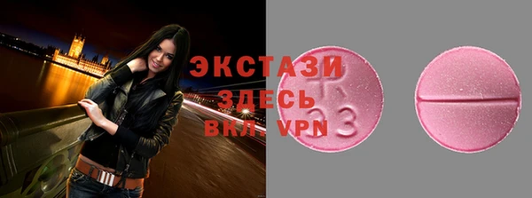индика Богородицк