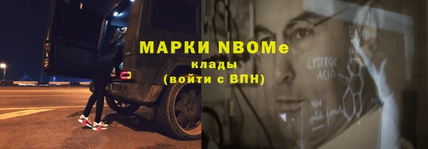 индика Богородицк