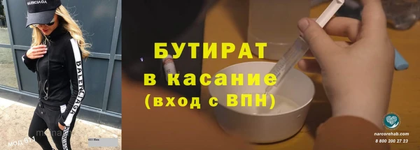 индика Богородицк