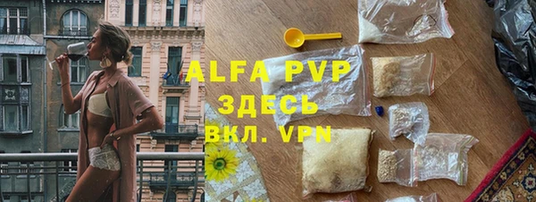 спиды Богданович