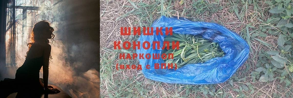 спиды Богданович