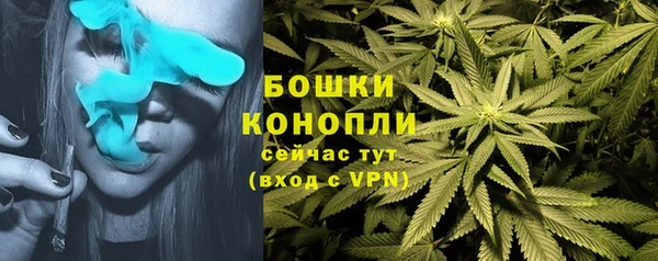 спиды Богданович