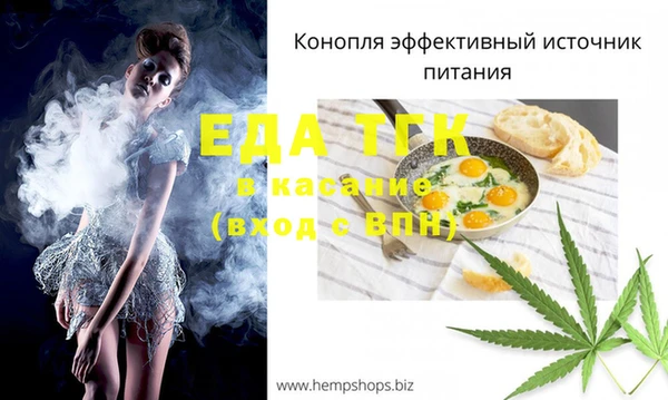 индика Богородицк
