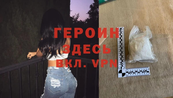 индика Богородицк