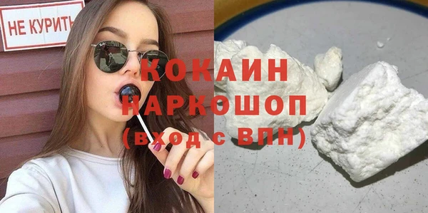 индика Богородицк