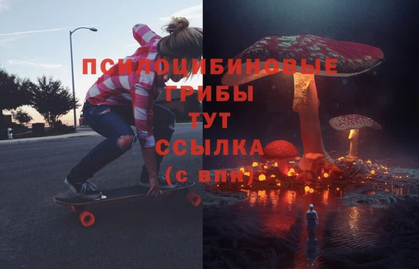 индика Богородицк