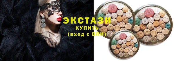 индика Богородицк